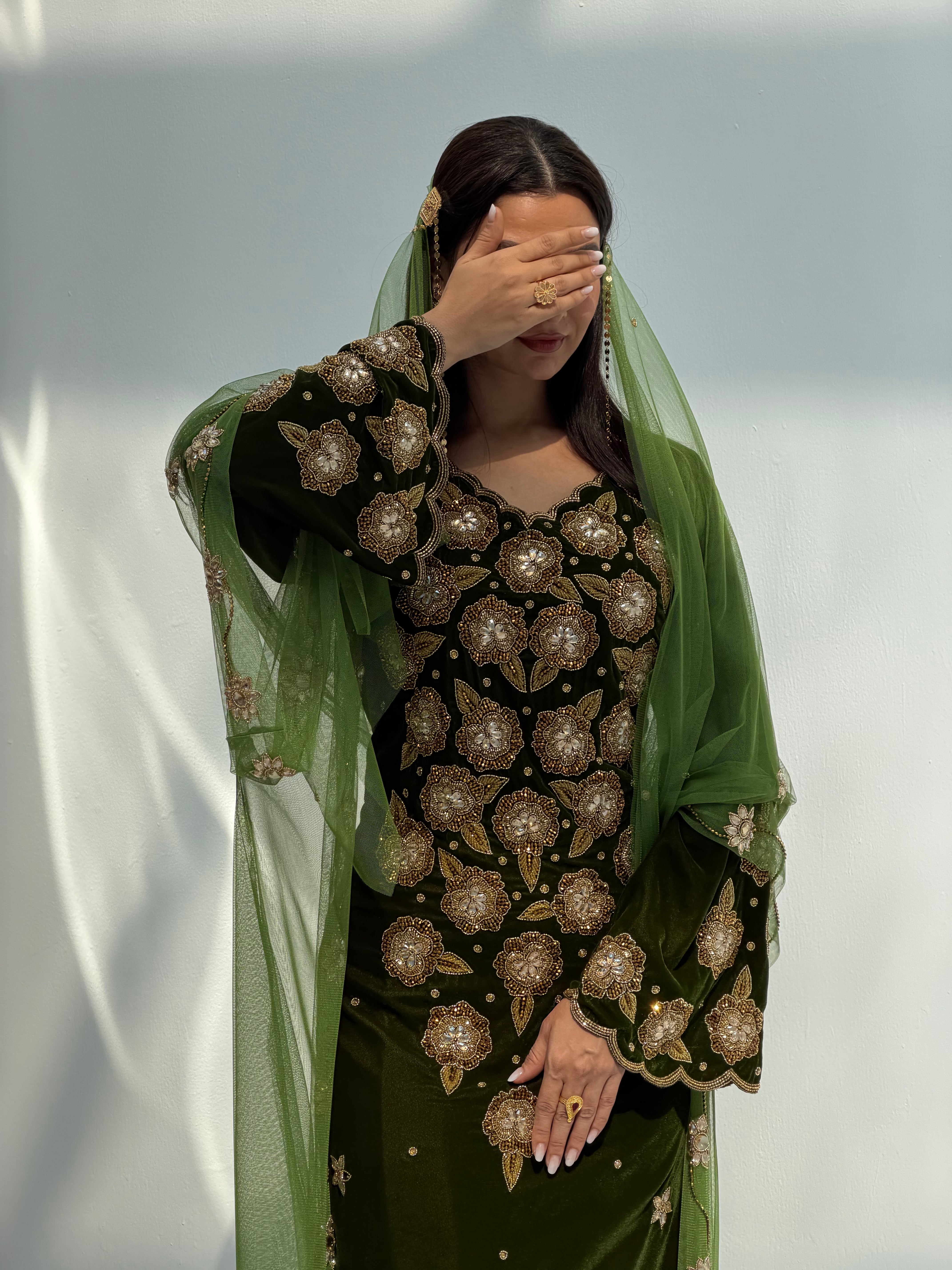 Mitha ( Velvet Dress With Bisht Tule & Tule Sheila )