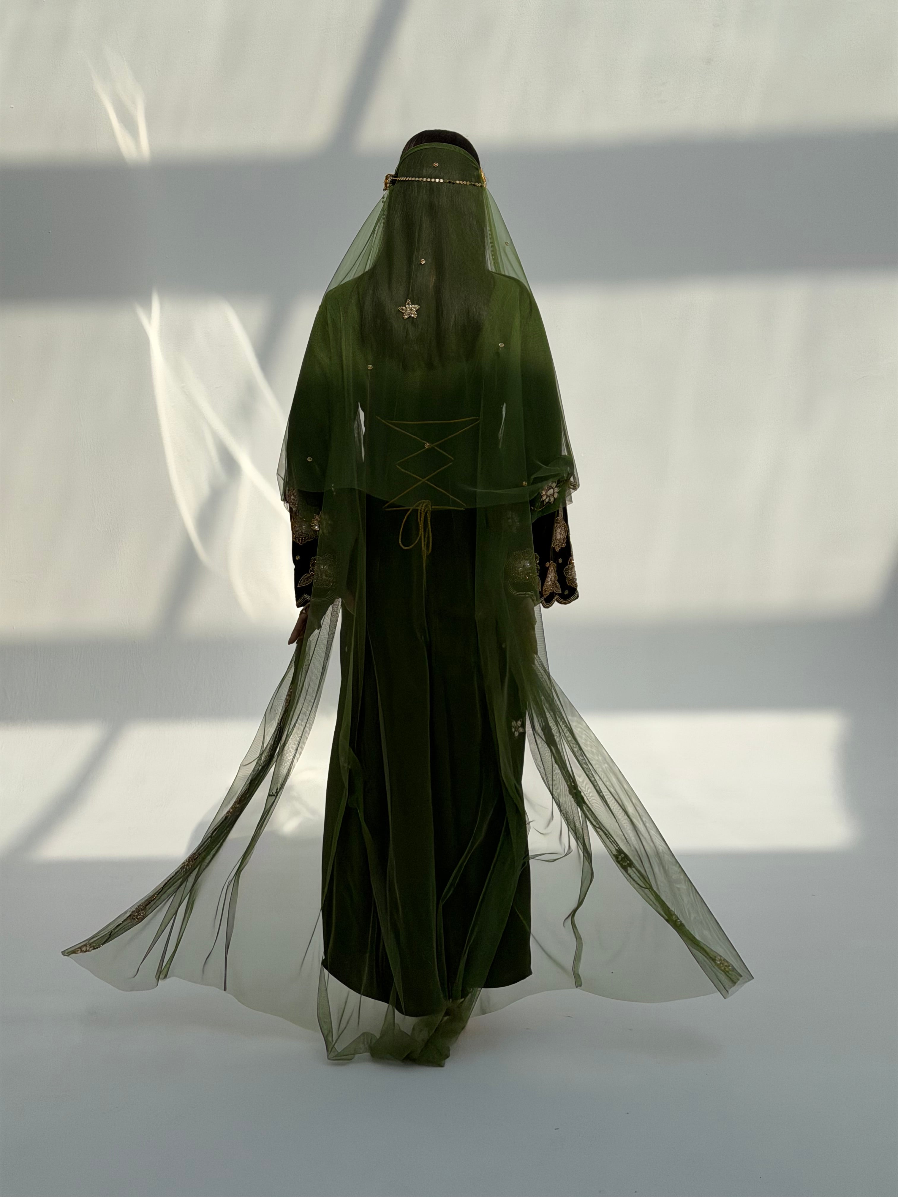 Mitha ( Velvet Dress With Bisht Tule & Tule Sheila )