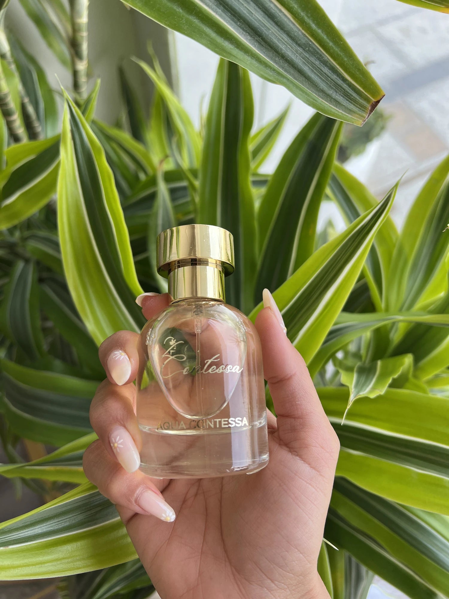 Contessa Perfume - Contessa Collection