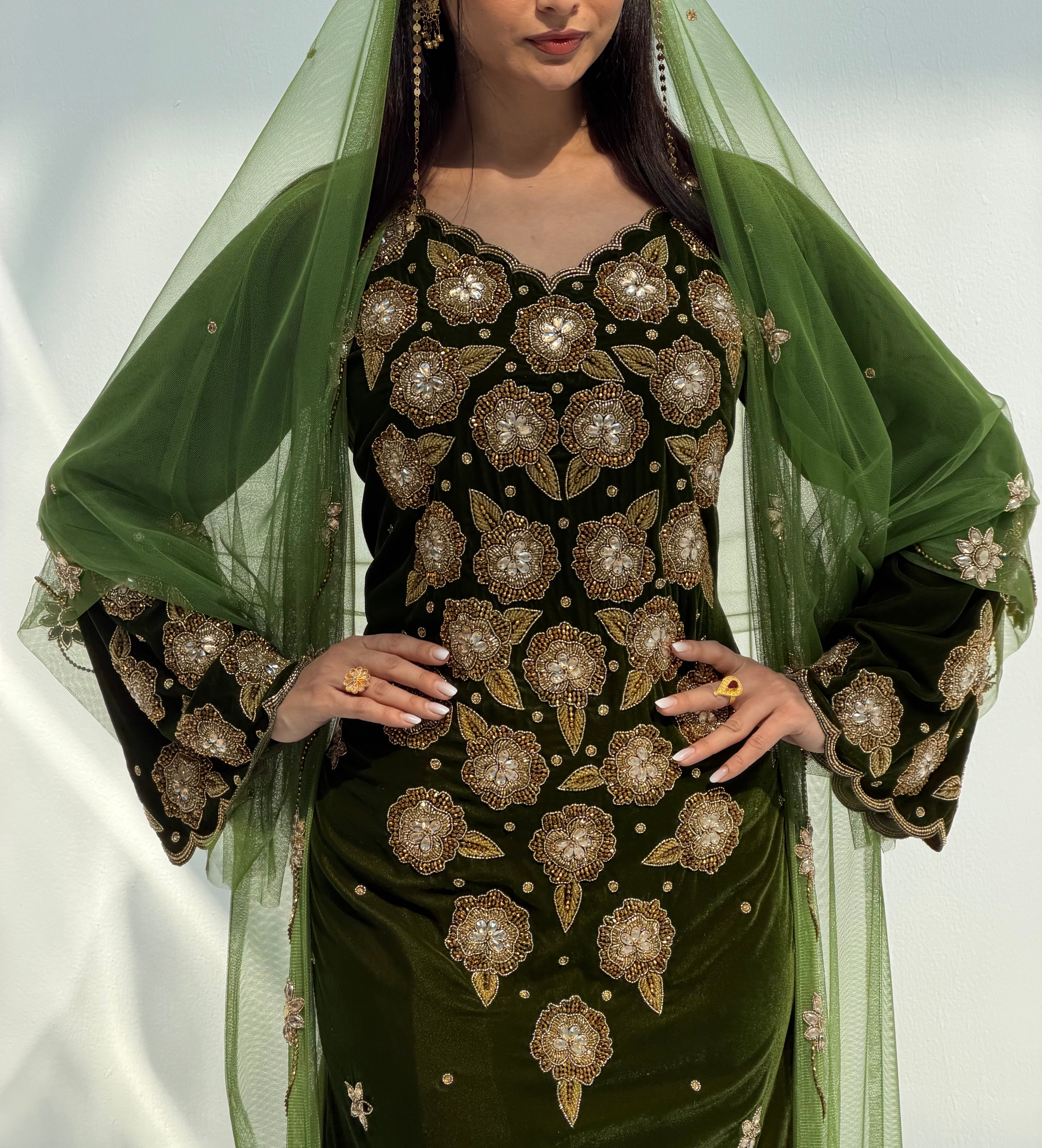 Mitha ( Velvet Dress With Bisht Tule & Tule Sheila )