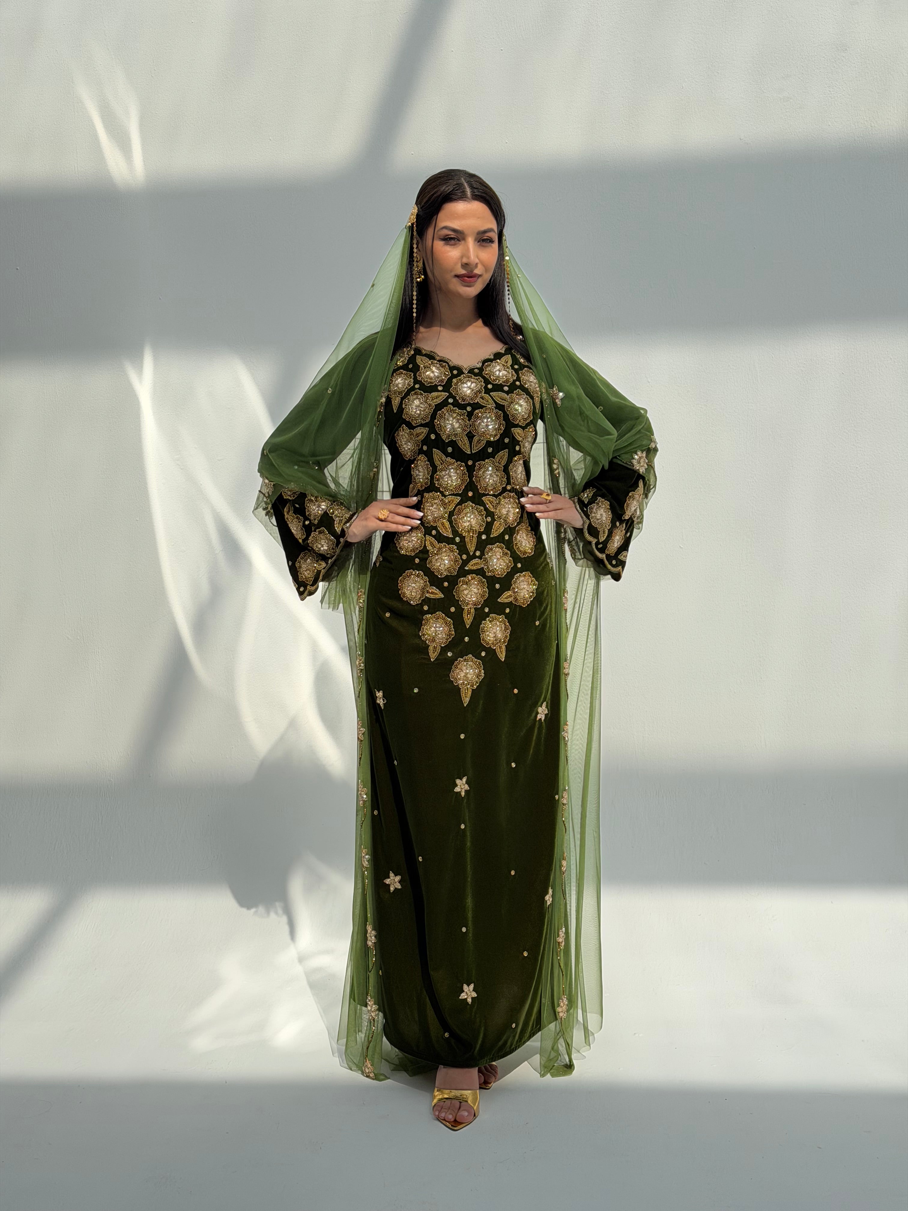 Mitha ( Velvet Dress With Bisht Tule & Tule Sheila )